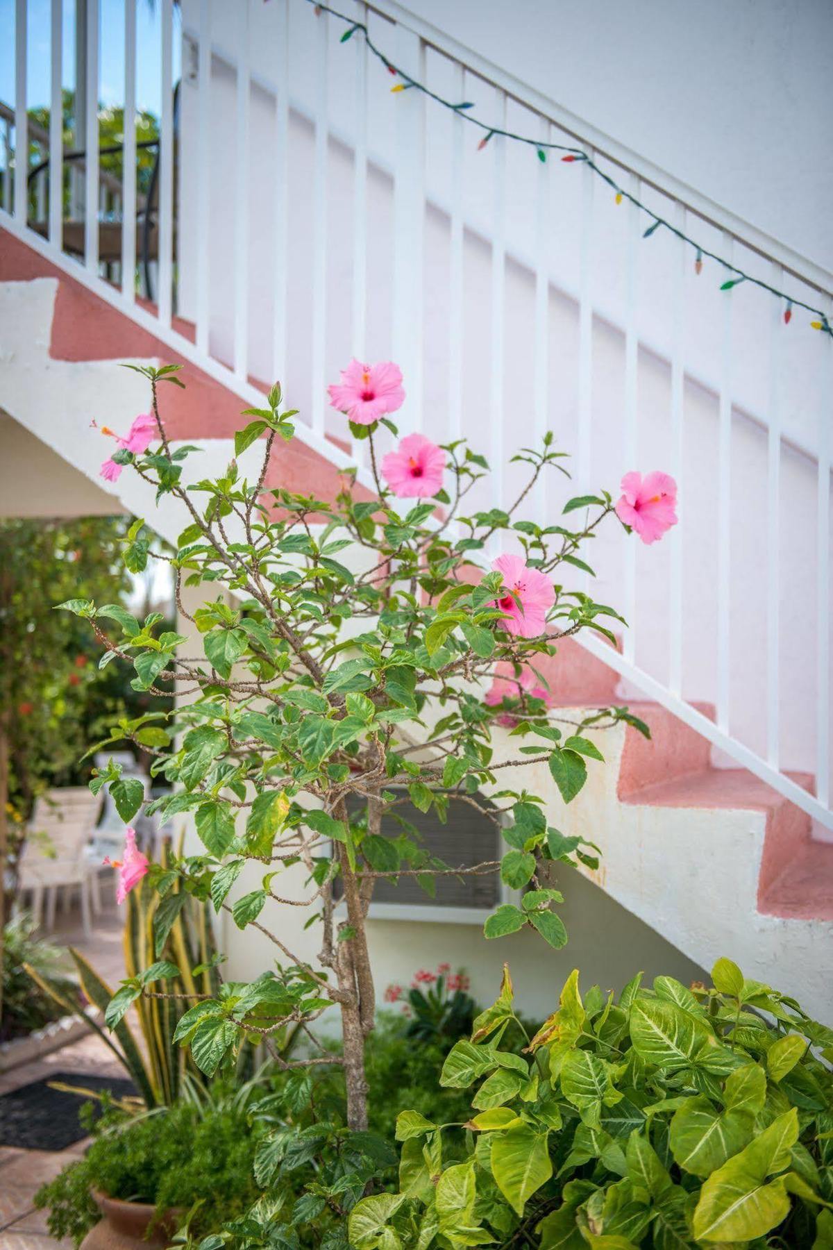 Shore Haven Resort Inn Lauderdale-by-the-Sea Bagian luar foto